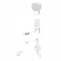 Hatz 50107500 stūmoklio kaištis e573 e673