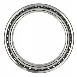 Galinės pavaros guolis hyundai r250 r260 r290 r300 r320