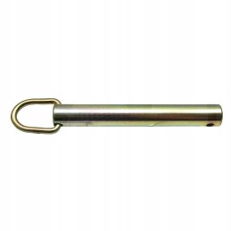 Apsauginis kaištis 3220148r1