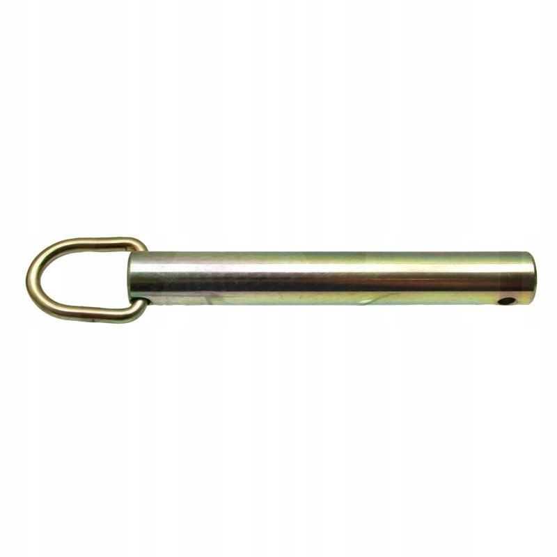 Apsauginis kaištis 3220148r1