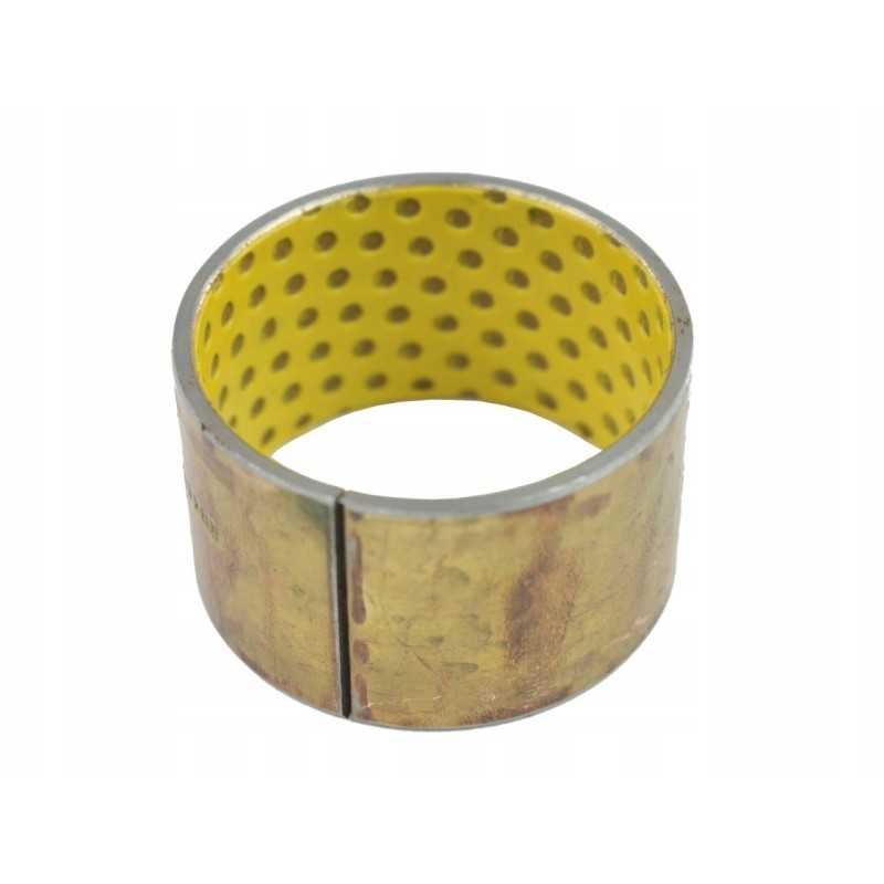 Nespyruokliškas spygliuočių krūmas 5711 3606