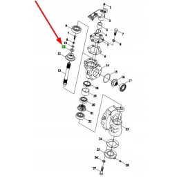 Tl02311010042 tarpiklis