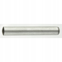 Cilindrinis kaištis 77720173064 scharmuller