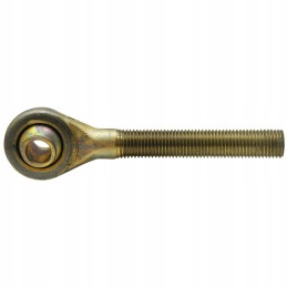 Srieginis kotas su granito galvute