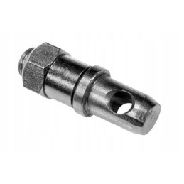 Kronšteino kaištis