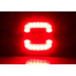 LED galinis kombinuotas žibintas, traktorius, kombainas