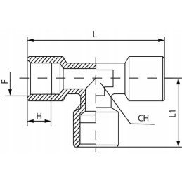 Tcfff38 T formos jungtis