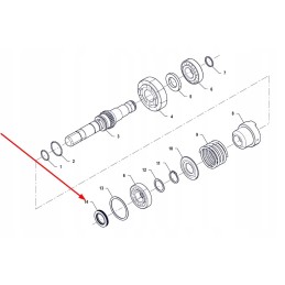 Pis08010005 alyvos sandariklio žiedas