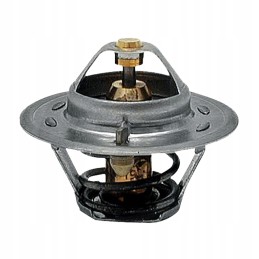 Termostatas 82 c 54mm 74712050 granitas