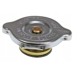 Radiatoriaus dangtelis vpe3252