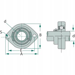Asfw 205 flanšinis guolio korpusas