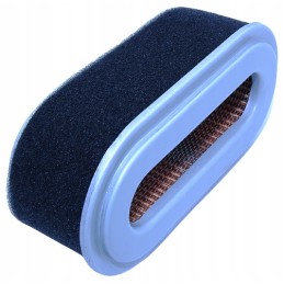 Oro filtras robin ex13 ex17 ex21 sa12413