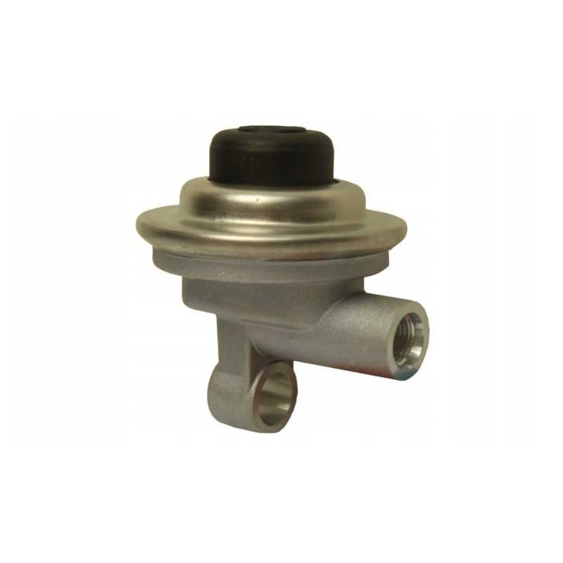 Rankinis diafragmos padavimo siurblio korpusas 81874144