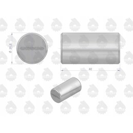 Mf3 reduktoriaus palydovinis kaištis, originalus ursus