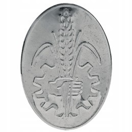 Ford dexta emblema 15405055 granitas