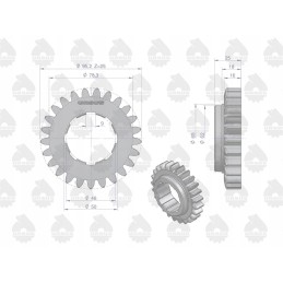 Varo pirmos ir ketvirtos pavaros