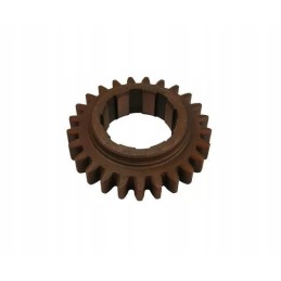 Varo pirmos ir ketvirtos pavaros