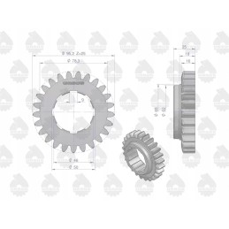 Varo pirmos ir ketvirtos pavaros