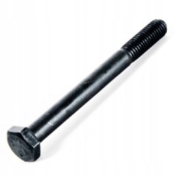 Diferencialo varžtas M10x100 C 330