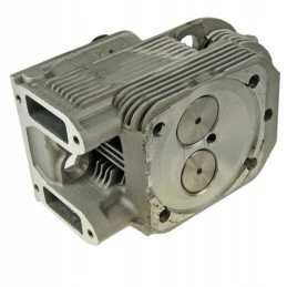 Pilna variklio galvutė deutz bfl912 913