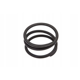 P5m31501161 diferencialo pavaros spyruoklė