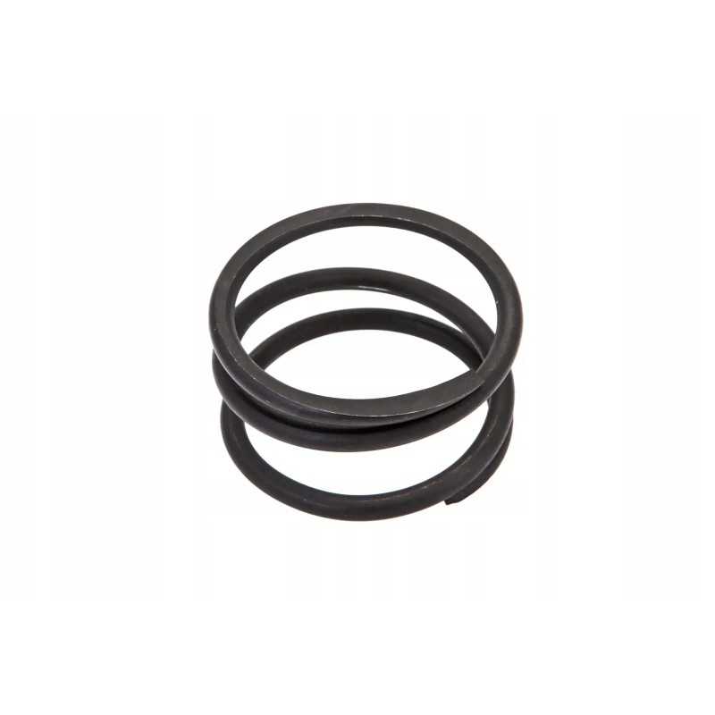 P5m31501161 diferencialo pavaros spyruoklė