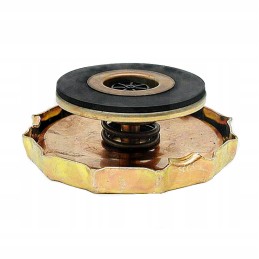 Radiatoriaus dangtelis fendt f135200050030 f135200050020