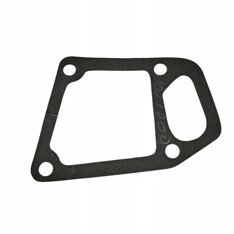 Vandens siurblio korpuso tarpinė 86017011