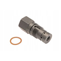 P5s58101104 apsauginis vožtuvas