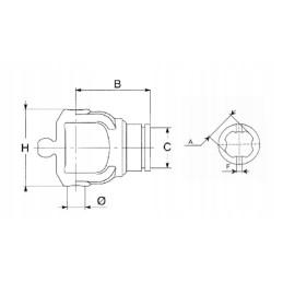 Plataus kampo sąnario bondioli pavesi viduje
