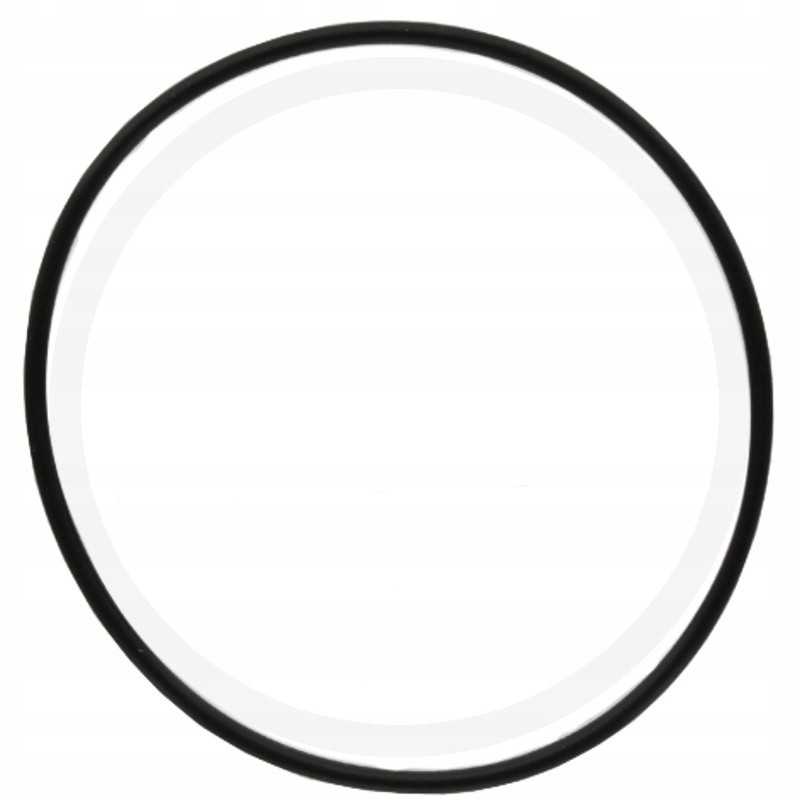 Hidraulinio siurblio sandariklis mf 363888x1