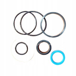 Massey Ferguso vairo cilindro sandariklių komplektas