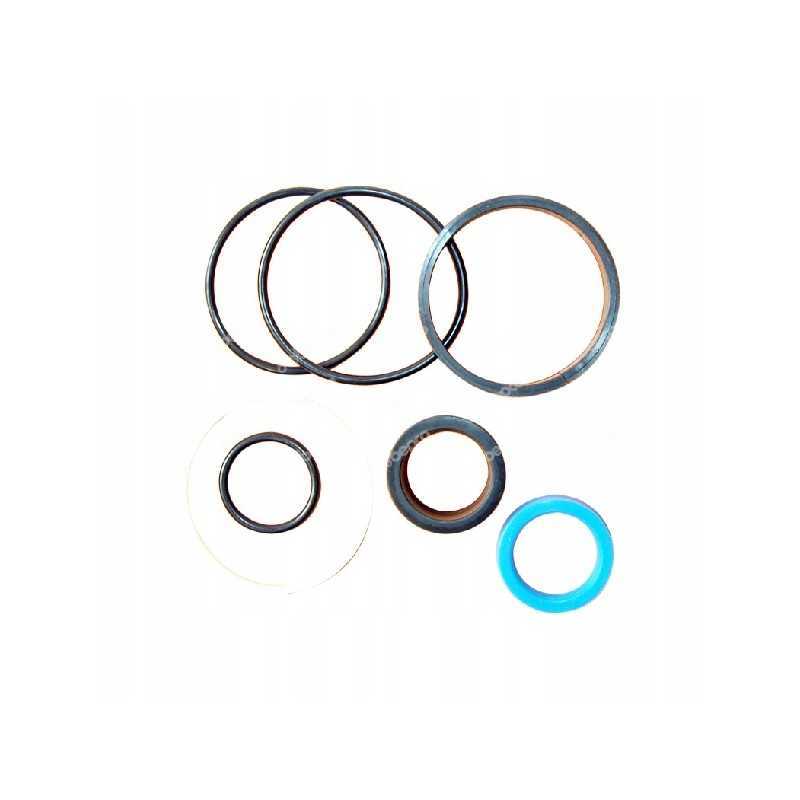 Massey Ferguso vairo cilindro sandariklių komplektas