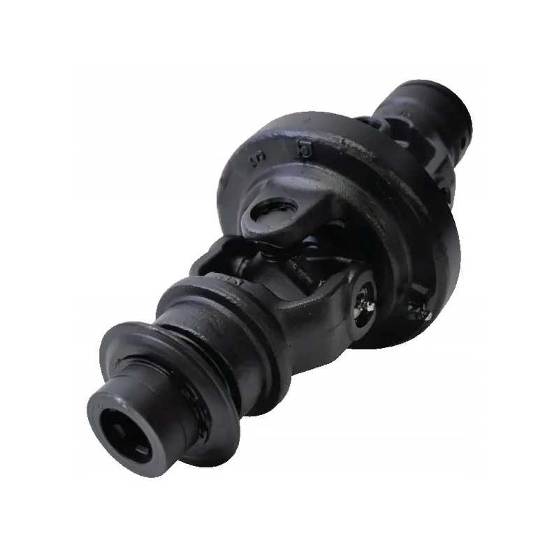 Plataus kampo sąnario bondioli pavesi išorėje