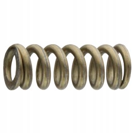 Kapoto užrakto spyruoklė 12100090080 Fendt