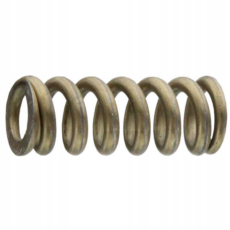 Kapoto užrakto spyruoklė 12100090080 Fendt