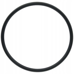 Diferencialo stūmoklio sandarinimo žiedas