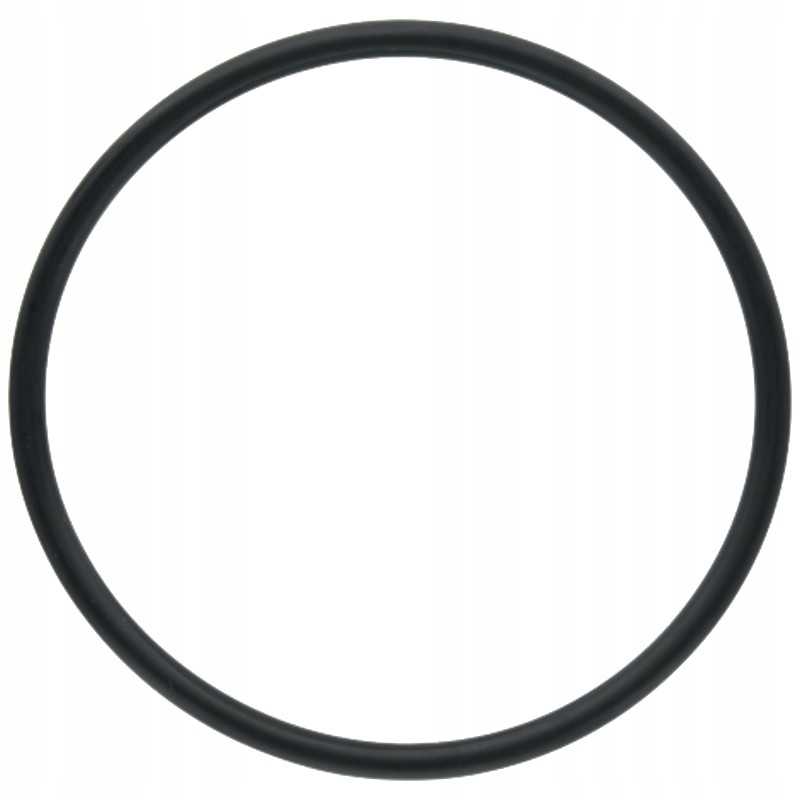 Diferencialo stūmoklio sandarinimo žiedas