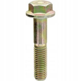 Sraigtas 70812086 19m8292 granitas