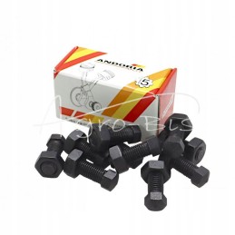 Sankabos reguliavimo varžtas su veržle 950303 c 385 a