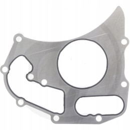 Massey Ferguson vandens siurblio tarpiklis 4224960m1