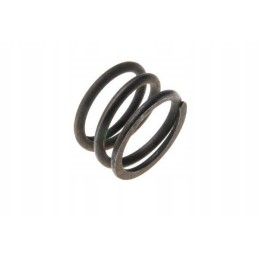 Pavarų svirties spyruoklė c 385