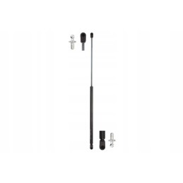 Galinio lango dujinės spyruoklinės staklės 21472