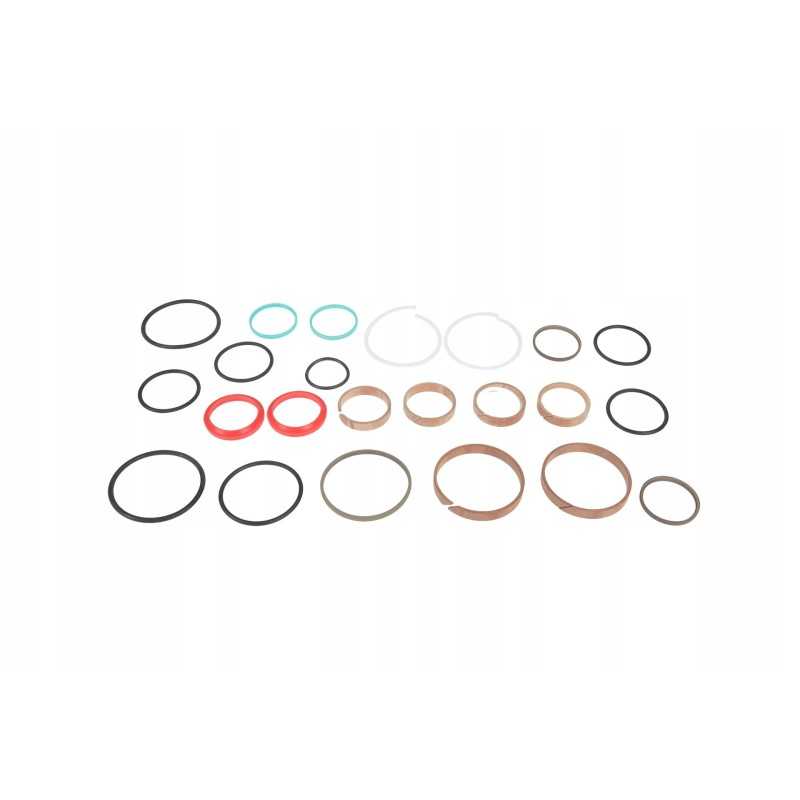 859828 0 komplektų hidraulinių cilindrų tarpiklių