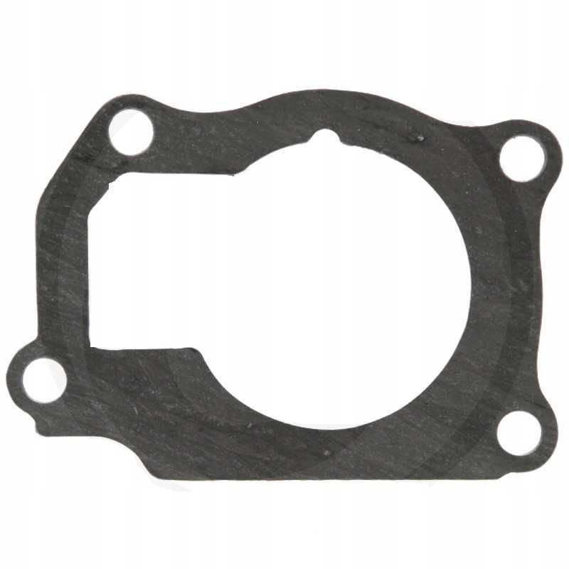 Manitou 703816r4 vandens siurblio tarpiklis