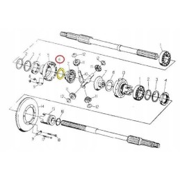 Diferencialo žvaigždutės frikcinė poveržlė