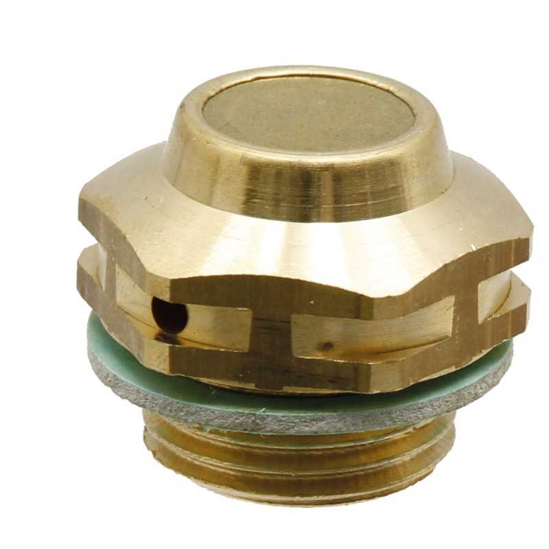 Alsuoklio kištukas su filtru 1 4 colių bsp asept