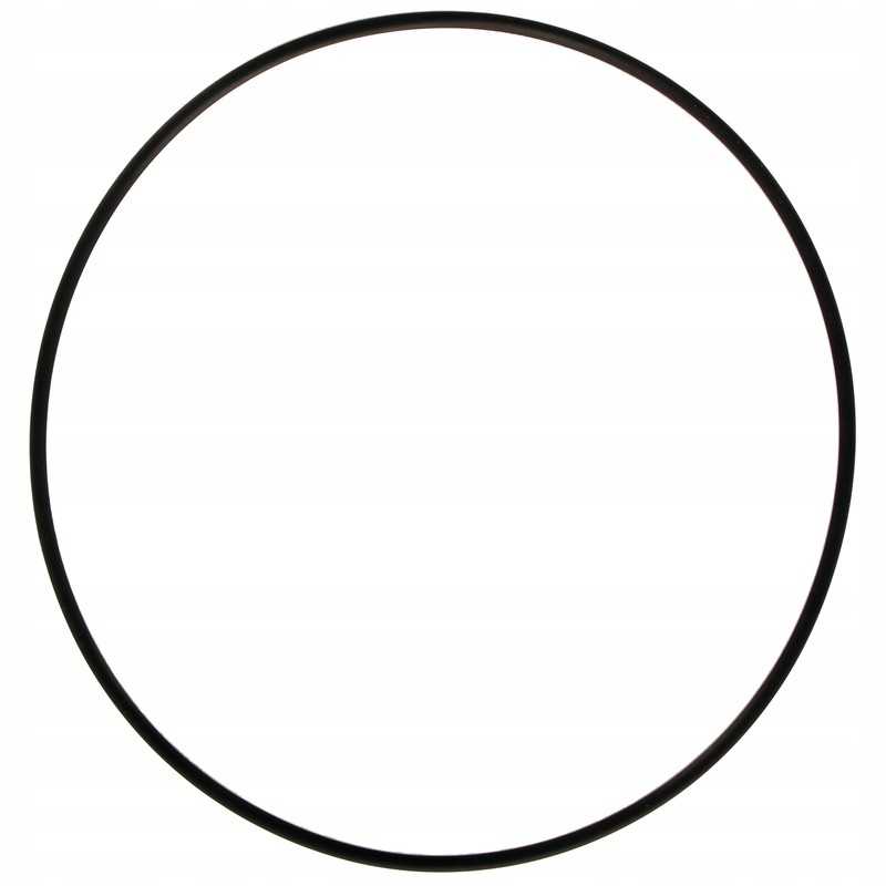 O-žiedo sandariklis John Deere l157662