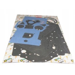 Galvos tarpiklių komplektas 3638660m91 363