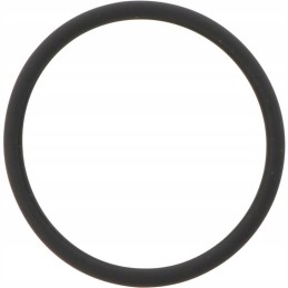 Oro dėklas Steyr 42548060